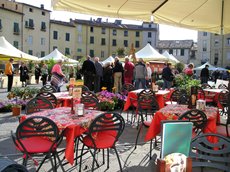 Piazza Anifiteatro - Lucca